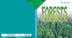 12 Forests Around The Wo