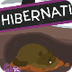 Hibernation Video