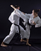 Karate | Origin, Description,