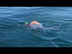 Massachusetts man swims across