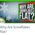 Why Are Snowflakes Flat?