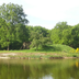 de peelsche heide