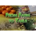 From Farm to Table Video