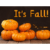It's Fall