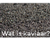 Wat is kaviaar? 