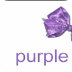 color P-U-R-P-L-E purple song 