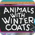 Animals with Winter Coats! 