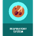 Respiratory System 6th