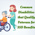 Common Disabilities That Quali
