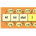 Kilolitro