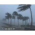 Hurricane Wilma Video