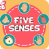 The Five Senses | The Dr. Bino