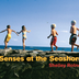 Senses At The Seashore
