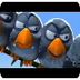 Cortos pixar, los 4 pájaros - 