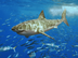 White Shark - Five Most Danger