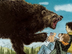 Bear Attack: The Story O