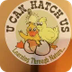 Chick Hatching Video - YouTube