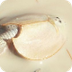 Invasion of the Shrimp -