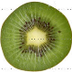 vistraing zoek hetzelfde fruit