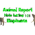 Animal Report- Note taking