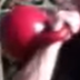 Kettlebell Front Squat