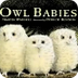 Owl Babies Animation