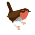 Aves Chile | Unión de Ornitólo