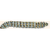 Watch Swallowtails Eat