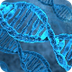 Say What? “Epigenetics” | NIDA