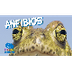 Los Anfibios | Videos