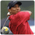 Spelers: Tiger Woods