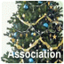 christmastreeassociation.org