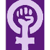 Womens Rights Game
