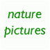 Nature Photo Collection - Natu