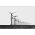 Renewable & Non-Renewable Ener