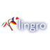 lingro: The coolest dictionary