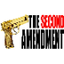 The Second Amendment Explained