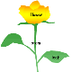 Plant Parts