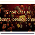 sinterklaasje