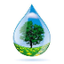 Water Cycle - Water Cycle