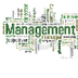 management & Organizatio