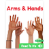 Arms and Hands