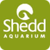 Shedd Aquarium - Chicago | Exp