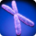 Enfermedades del cromosoma X