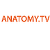 Anatomy.tv