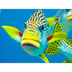 Spotlight: Coral Reefs - KIDS