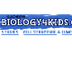 Biology4Kids: Nervous System