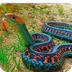 Snake Pictures - National Geog
