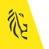 De regionale overheden: gemeen