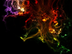 Create a Nebula